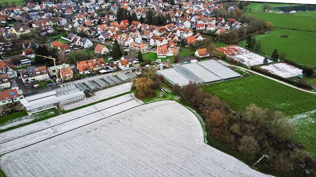Das bisherige Grtnereigelnde am Orts...lant, in den Bebauungsplan einbezogen.  | Foto: Hubert Gemmert