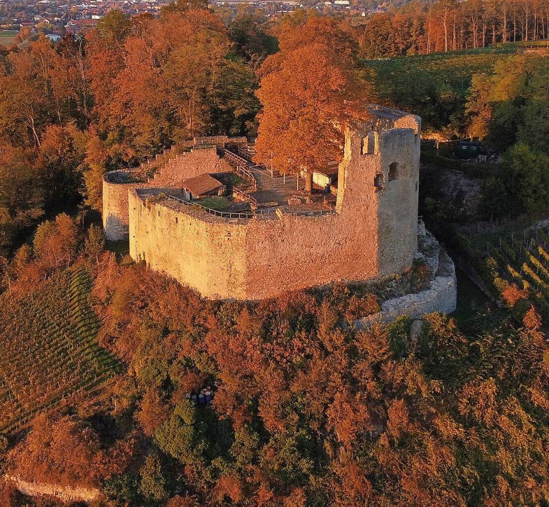 “Experience Badisches im Breisgau: Weinkult and BZ-Genussmarkt in Hecklinger Schlosshof”