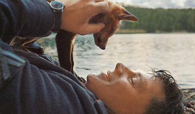 Franz (Simon Morz) und sein Fuchs  | Foto: Alamode Film