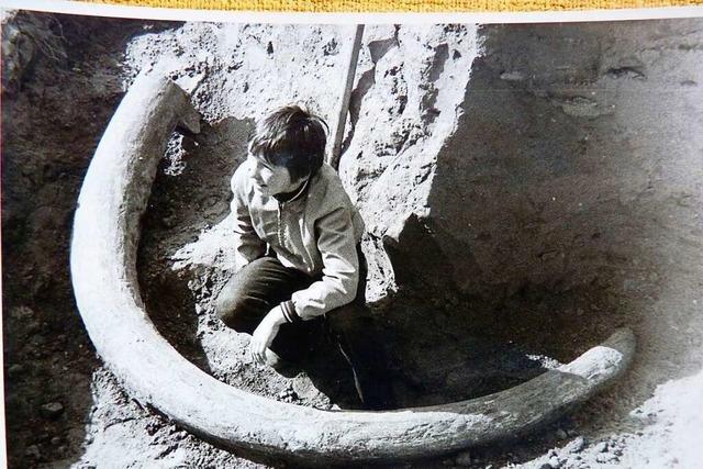 Kind entdeckte Stoßzahn eines Mammuts am Kaiserstuhl