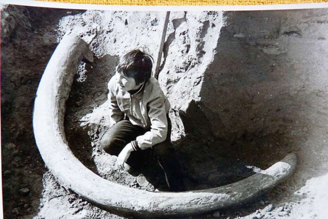 Das Mammut vom Kaiserstuhl