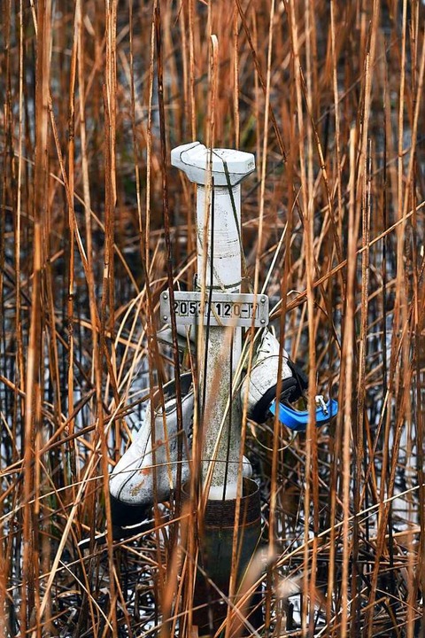 Bis in die 50er Jahre wurde auf dem eh... aus der Grube Schauinsland betrieben.  | Foto: Thomas Kunz