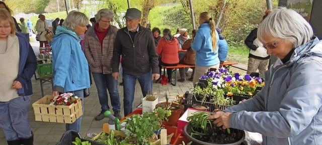 Bei Rheinfelder Pflanzenflohmarkt Gart...r das Grn untereinander austauschen.   | Foto: Claudia Gempp