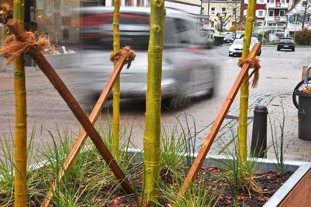 Kritik an Pflanzkbel-Mblierung der Schopfheimer Innenstadt hlt an