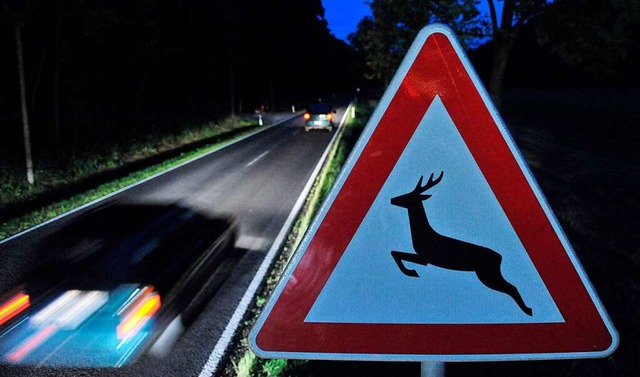 Ein Wildunfall geschah auf der B316 bei Degerfelden.  | Foto: Martin Schutt