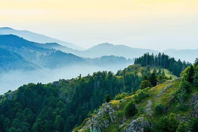 Zum Start der Wandersaison in Lahr gibt es einen Kinofilm ber den Westweg