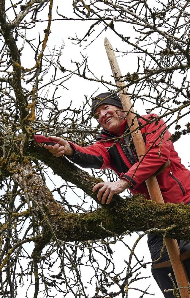 Wenn lange Zeit nicht gepflegt wird,  altern die Bume schneller.  | Foto: Gnter Nosbsch