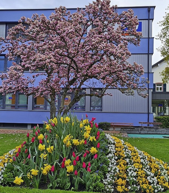 Der Gemeinderat reagiert auf die Kritik an der Gestaltung des Stadtgartens.  | Foto: Gerald Nill