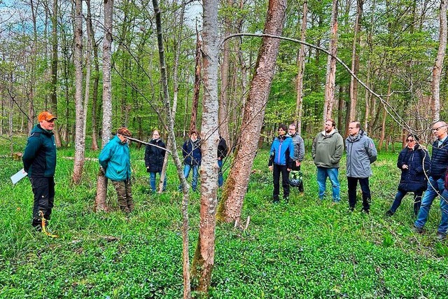 Die Auswirkungen des Klimawandels im M...am Montag vor der Gemeinderatssitzung.  | Foto: Gemeinde Meienheim