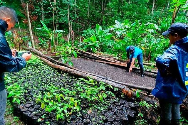 Mit Freiburger Spendengeld  werden Sm... um den Boden vor Erosion zu schtzen.  | Foto: privat