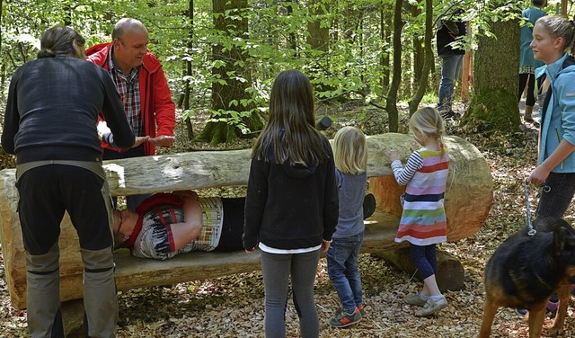 Besondere Klangerfahrungen bietet der Walderlebnispfad am Rollberg.  | Foto: Benedikt Sommer