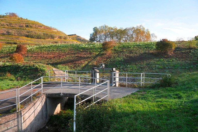 Die Erneuerung des Hochwasserrckhalte...bergen soll bis Ende 2024 fertig sein.  | Foto: Sebastian Ehret