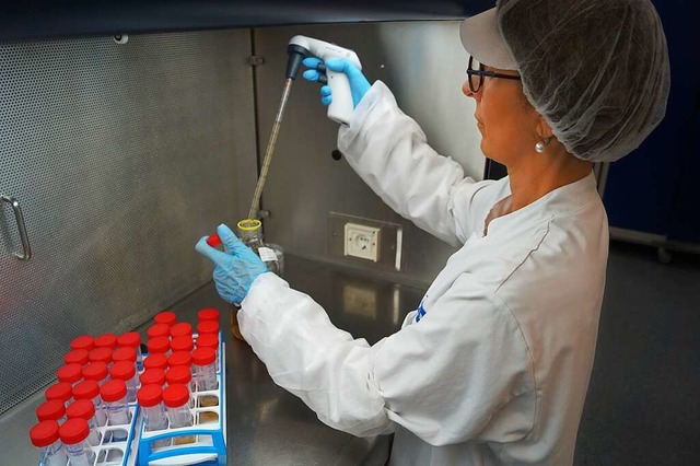 Im Labor ist Sorgfalt gefragt: BAV-Lab...ttel-Proben auf Krankheitserreger vor.  | Foto: Christine Storck-Haupt
