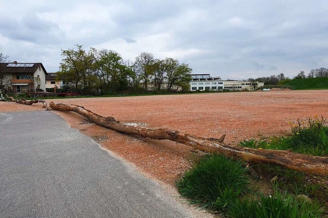 Baumstmme verhindern, dass Menschen a...andesgartenschau als Parkplatz diente.  | Foto: Hannes Selz