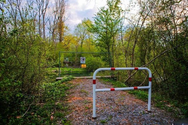 Kies im Taubergieen soll vor nassen Fen schtzen