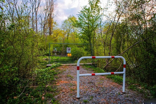 Die Steinsporenbrcke im Taubergieen ...mehr, sie soll aber neu gebaut werden.  | Foto: Adrian Hofmann