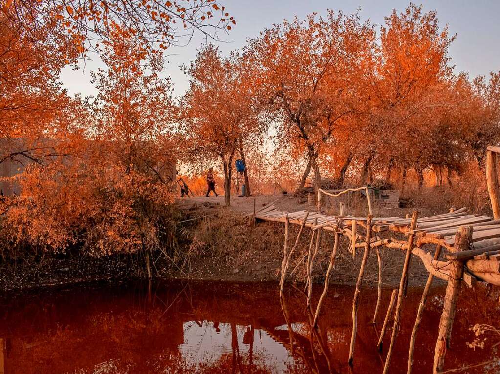 Usbekistan: Der reichlich vorhandene Schlamm im Fluss Amu Darya verleiht dem Wasser oft eine dunkelrote Farbe, ein unheilvolles Aussehen angesichts des allmhlich sinkenden Wasserstandes. Dieser historisch wichtige Fluss, der frher als Oxus bekannt war, und sein angeschlagenes Wasser sind ein weiteres Beispiel dafr, dass die Wassersicherheit jeden Aspekt des Lebens in Zentralasien berhrt. (Foto: Anush Babajanyan/World Press Photo Foundation/dpa)