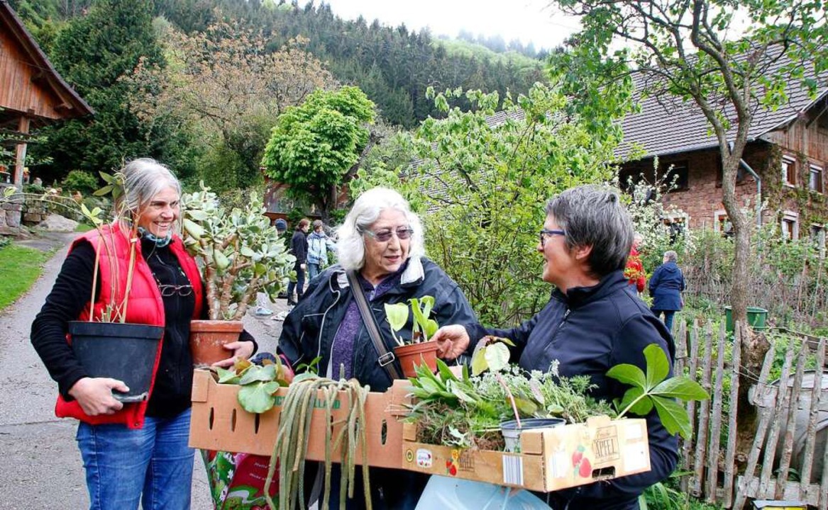 Drei Besucherinnen beim Pflanzentauschtag in Drlinbach im Jahr 2019.  | Foto: Heidi Fel