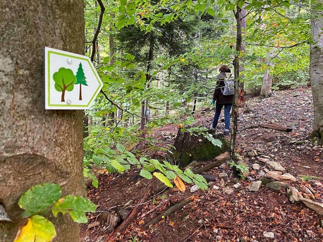 Durch den Wald im ganz eigenen Tempo &#8211; auch das ist Waldbaden.  | Foto: KUR UND BDER GMBH