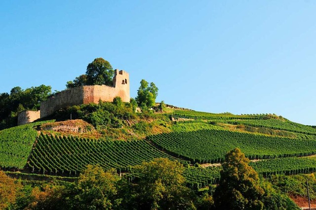 Die Burg Lichteneck berragt Hecklingen.  | Foto: Bill Ernest (stock.adobe.com)