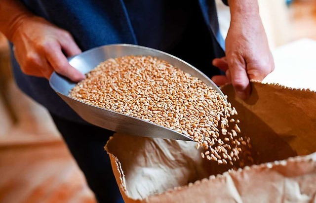 Wrde die Ukraine Mitglied der EU, wre sie deren zweitgrter Weizenproduzent.  | Foto: Sven Hoppe