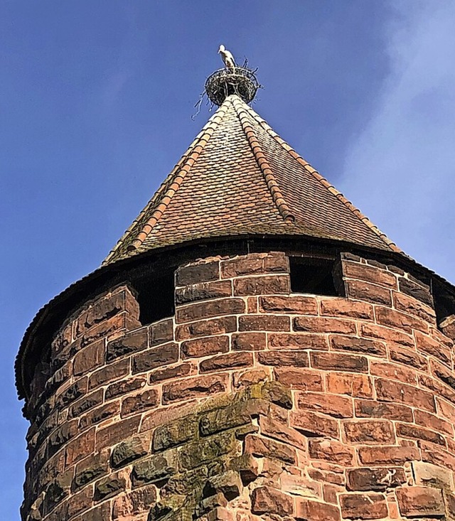 Der Storchenturm wird aus neuen Perspektiven erlebbar.  | Foto: Stadt Lahr