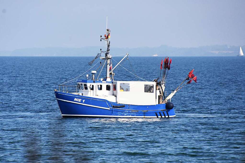 “The Disappearance of Herring and the Impact on Baltic Sea Fishermen”