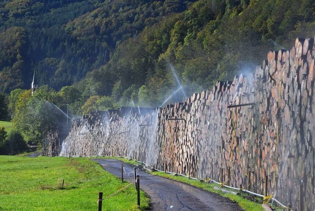 Mit Wasser soll das Holzlager in Geschwend gegen Borkenkfer geschtzt werden.  | Foto: Ulrike Jger