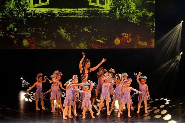 Die Meineke Dance Academy bietet ein Tanzspektakel der besonderen Art