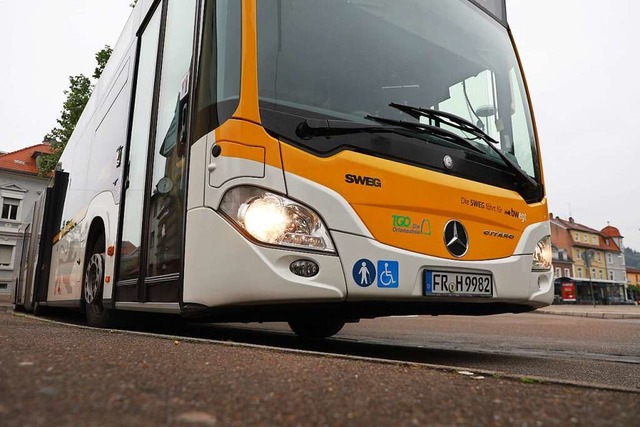 Die SWEG-Busse bleiben am Mittwoch stehen.  | Foto: Christoph Breithaupt