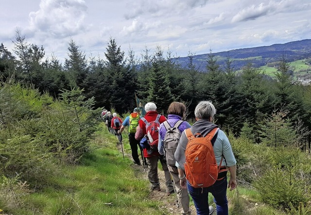 Durch herrliche Landschaften mit tolle... des Schwarzwaldvereins Elzach-Winden.  | Foto: Kurt Meier