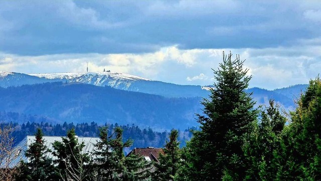 Feldberg.  | Foto: Barbara Westphal