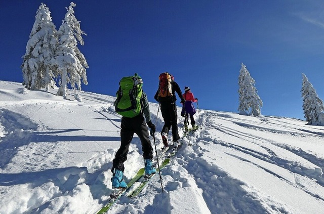 Familie Rittinger beim Skitourengehen   | Foto: Iris Rittinger