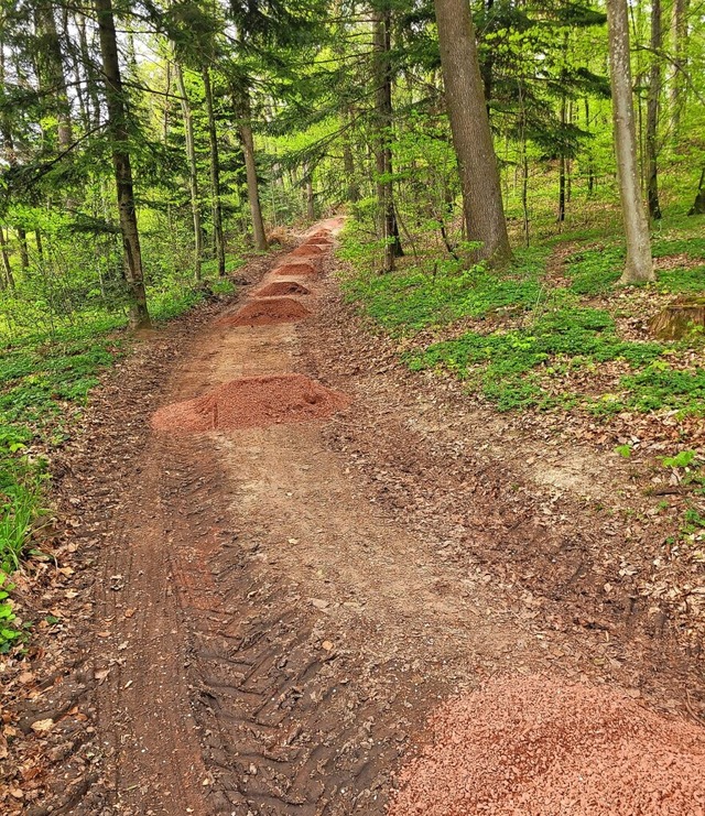 Ein Teilstck Wanderwegenetz wurde jetzt vom Schwarzwaldverein saniert.  | Foto: Verein