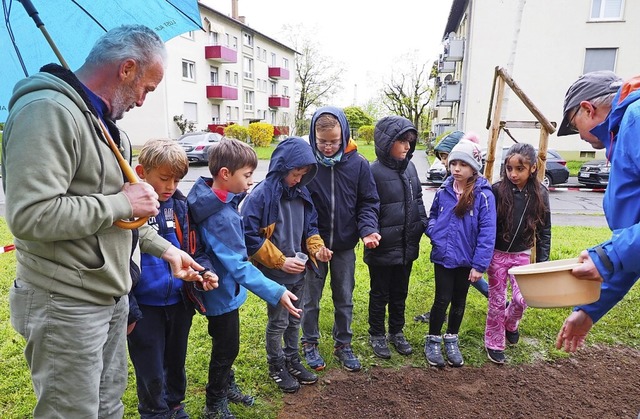 Kinder und Anwohner legten vor der Tschamber-Schule eine Blhwiese an.  | Foto: Herbert Frey