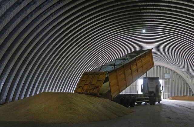 Ein Getreidespeicher in einem ukrainischen Dorf  | Foto: Efrem Lukatsky (dpa)