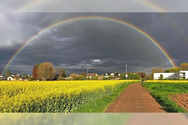 Regenbogen ber Rapsfeld
