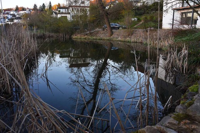 Der Krottenweiher im Lrracher Finkenweg  | Foto: Robert Bergmann