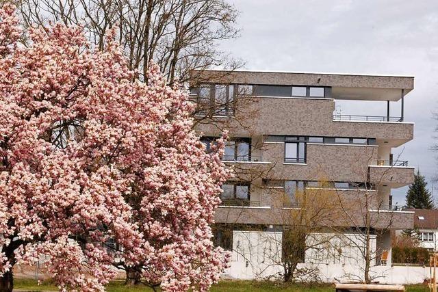 Rheinfelder Wohnbaugesellschaft erzielt einen Rekordgewinn