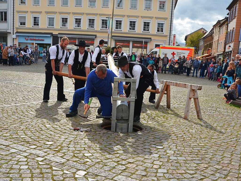 Der Maibaum in Emmendingen steht.