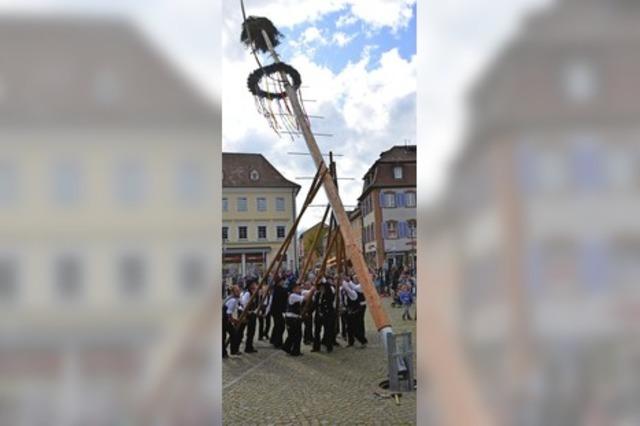 Der Maibaum steht