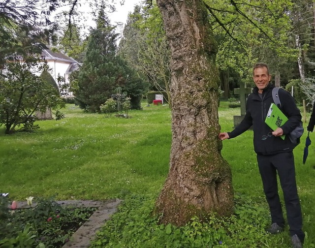 Thomas Bauknecht mit dem Exemplar eines Esche-Ahornbaumes  | Foto: Winfried Kninger