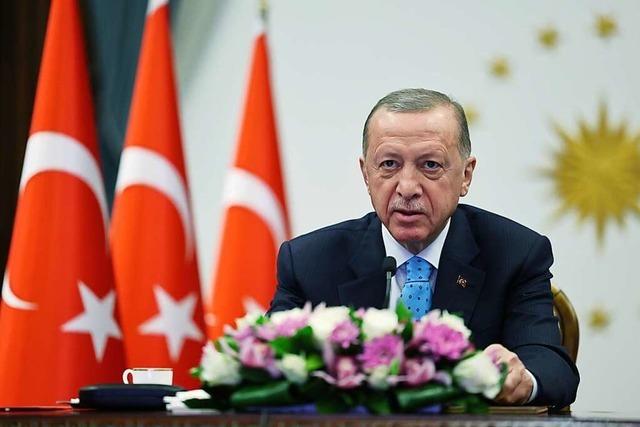 Spekulationen um Erdogans Gesundheit vor der Wahl in der Türkei