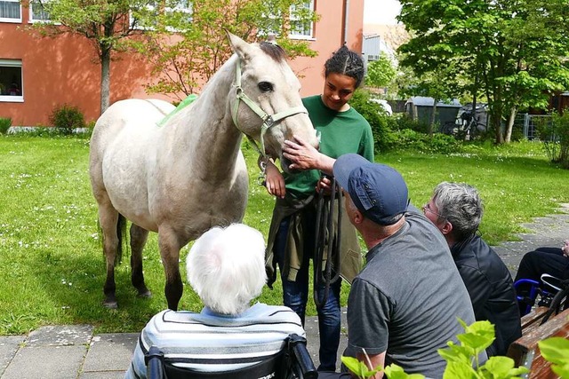 Der Wallach Casy kommt beim Besuch im Kursana-Domizil gut an.  | Foto: Alicia Pinneker