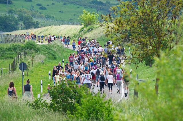 Eine der grten Weinveranstaltungen in Baden: der Gutedeltag  | Foto: Volker Mnch