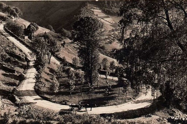 Das undatierte historische Foto zeigt ...sogenannten &#8222;Alleegarten&#8220;.  | Foto: Hans-Jrgen Wehrle