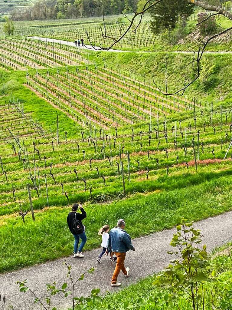 Groer Andrang herrschte am Sonntagnachmittag beim Gipfeltreffen mit Jungweinprobe auf der Katzensteinbuckhtte.