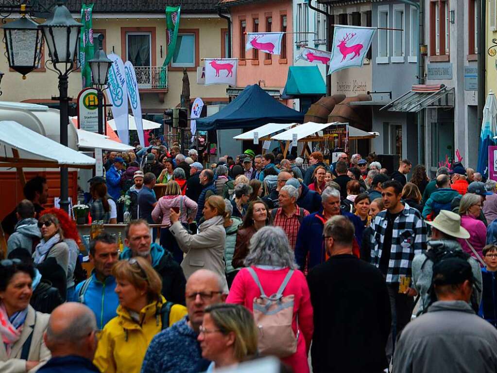 Shoppen im Zeichen des pinken Hirsches: Impressionen aus Elzach