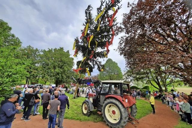 Der Maibaum steht