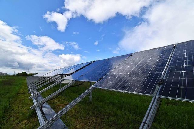 In Merdingen entsteht eines der größten Solartestfelder Europas